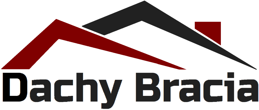 dachy bracia logo